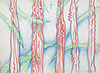 Paradis artificial 6, hârtie, carioca, creion, 36 x 48 cm